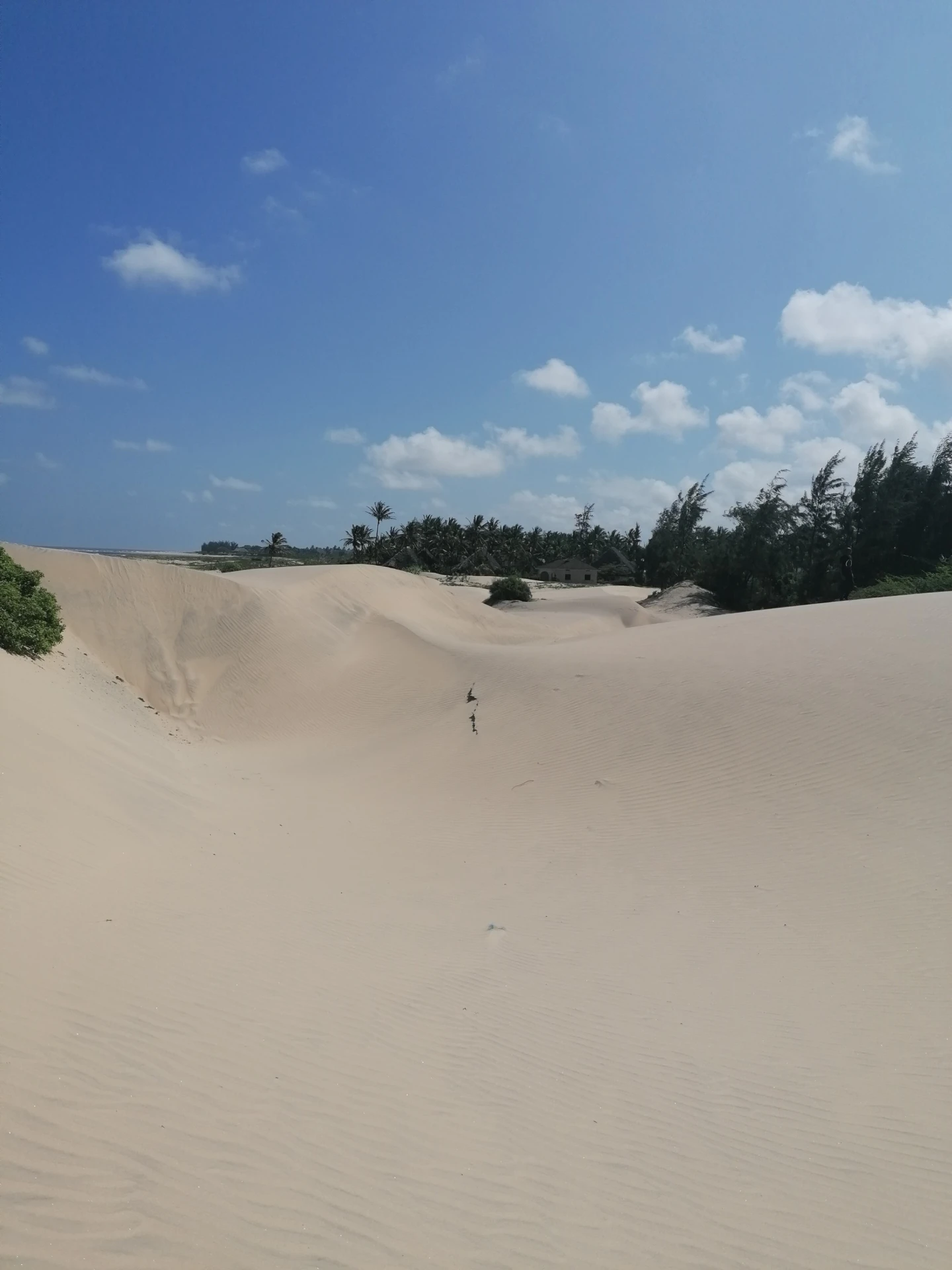 Sunset Dunes